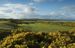 Dornoch Golf 6