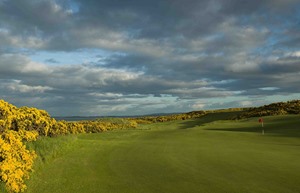 Royal Dornoch Golf