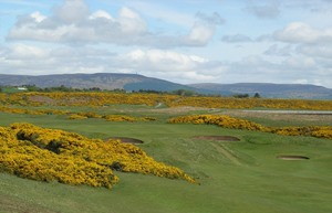 Royal Dornoch Links