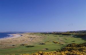Dornoch Golf 5