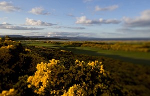 Dornoch Golf 3