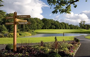 Fota Island Golf 17