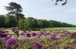 Fota Island Golf 14