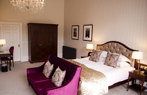 Exec Suite