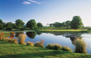Fota Island Golf 12