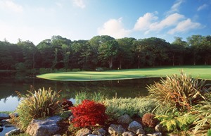 Fota Island Golf 11