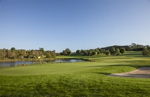 Fota Island Golf 8