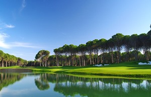 Resized Carya Golf 3