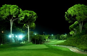 Resized Carya Golf 11