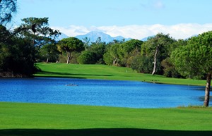 Resized Titanic Golf 4