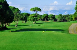 Resized Titanic Golf 7