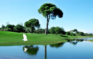 Resized Titanic Golf 8
